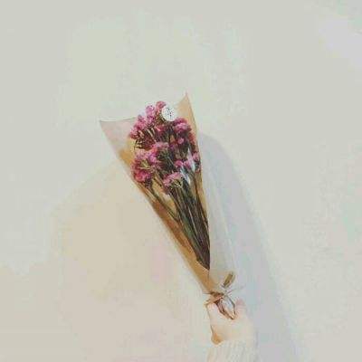 思璞择天传手游下载